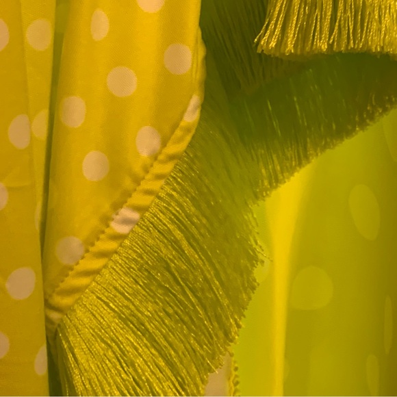 LOVE THE QUEEN  Vibrant Maxi polka dot novelty lace trim   dress XL 16 - Picture 12 of 16